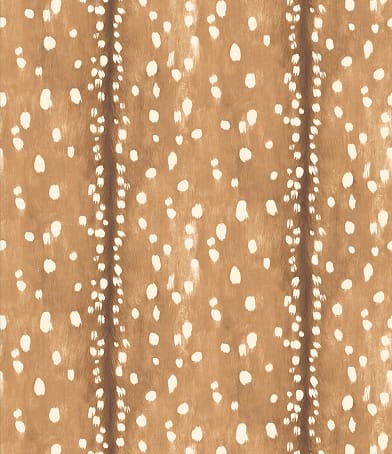 Wild At Heart Collection - Collection Page - Inspiration Section - Image 4 - Fawn Spot Wallpaper - Colourway: Bambi - Swatch
