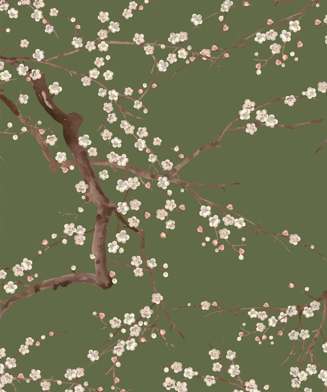 Blossom Branch Wallpaper - Colourway: Olive - Swatch