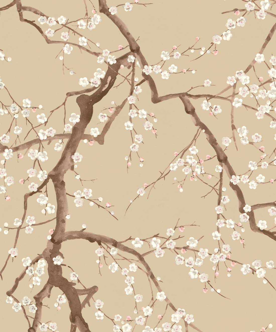 Blossom Branch Wallpaper - Colourway: Parchment - Swatch